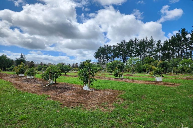 Photo of property in 146 Browns Road, Kaikohe, 0474