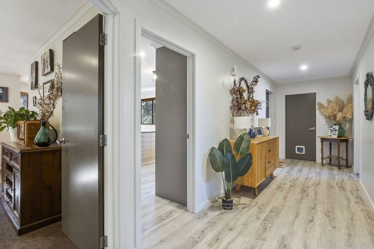 Photo of property in 1 Pratt Street, Waikouaiti, 9510