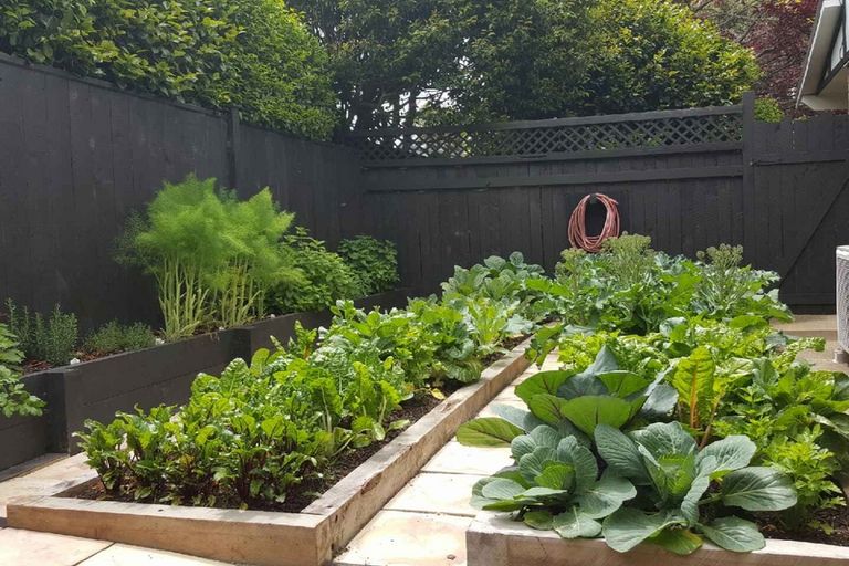 Photo of property in 129 Queen Street, Pukekohe, 2120