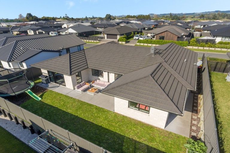Photo of property in 16 Waghorn Street, Pyes Pa, Tauranga, 3112