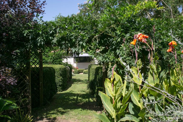 Photo of property in 8 Mclarnon Road, Cambridge, 3495