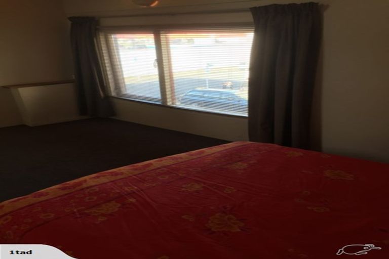 Photo of property in 12a Douglas Street, Levin, 5510