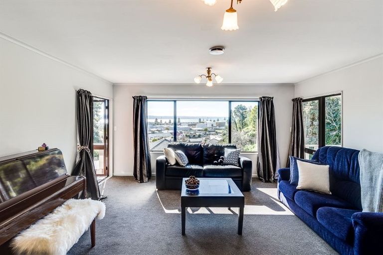 Photo of property in 17 Goldsmith Road, Hospital Hill, Napier, 4110