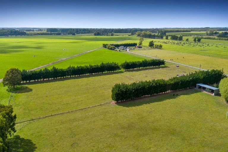 Photo of property in 1004 Leeston Dunsandel Road, Leeston, 7682