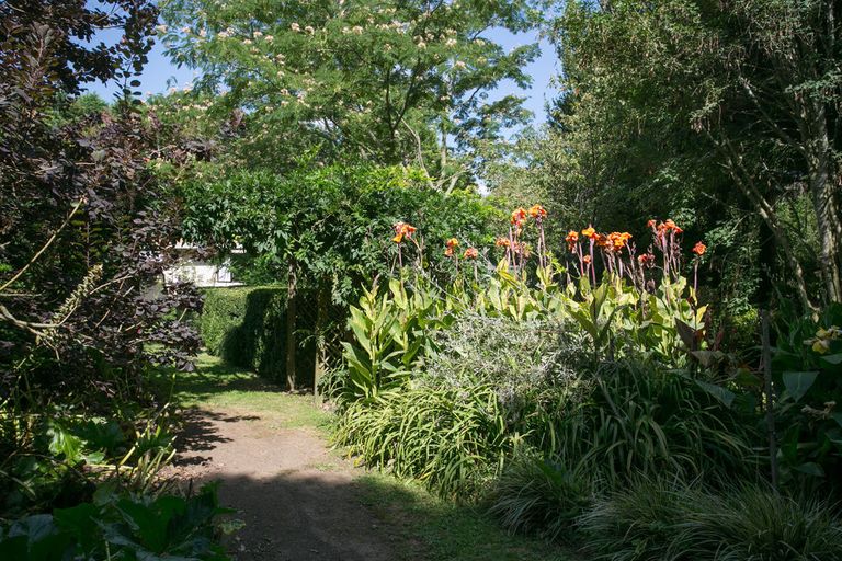 Photo of property in 8 Mclarnon Road, Cambridge, 3495