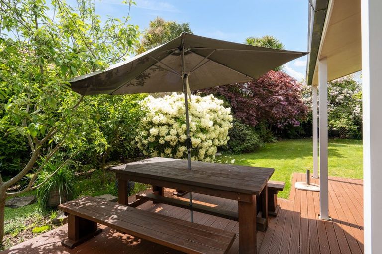 Photo of property in 6 Donald Lane, Cambridge, 3434