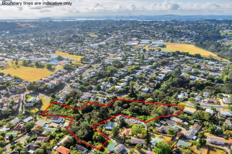 Photo of property in 60 Tiri Tiri Road, Birkdale, Auckland, 0626