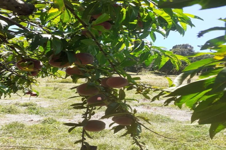 Photo of property in 97b Te Mahoe Road, Mokau, 4376