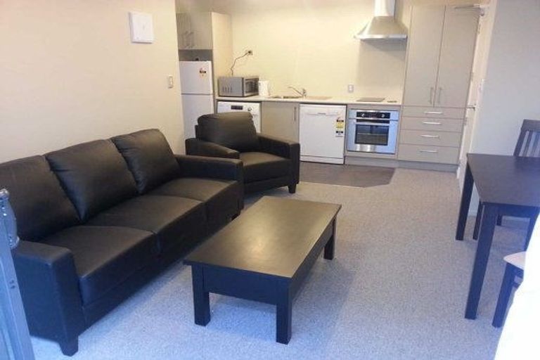 Photo of property in 58 Willoughby Street, Whitiora, Hamilton, 3200