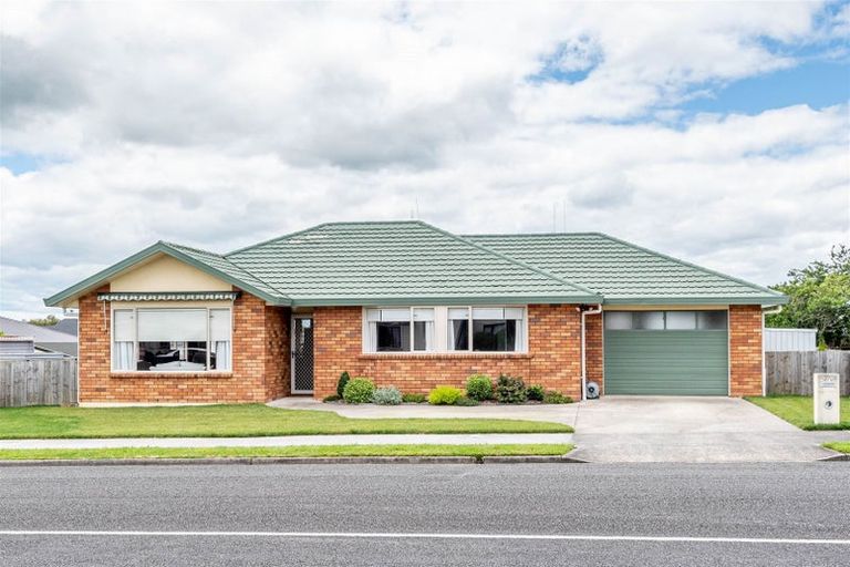 Photo of property in 370 Mandeno Street, Te Awamutu, 3800