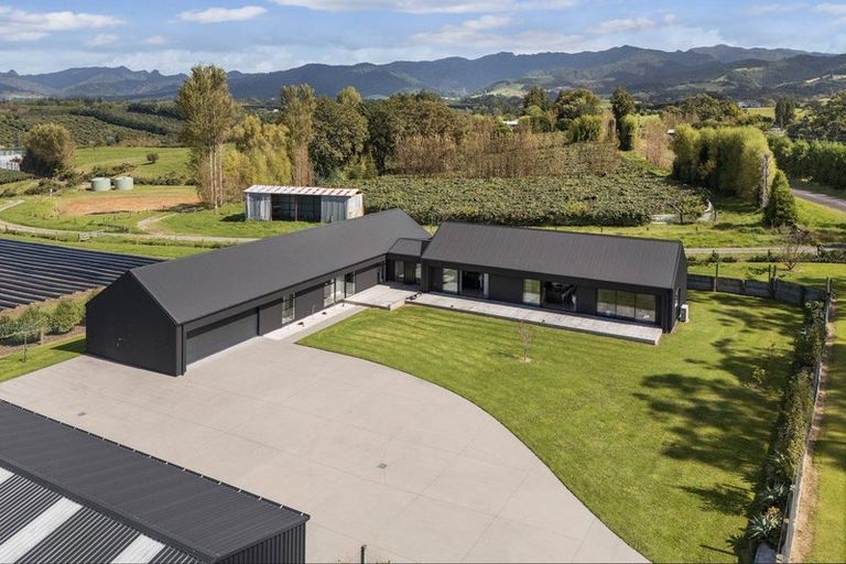 Photo of property in 169 Busby Road, Tahawai, Katikati, 3170