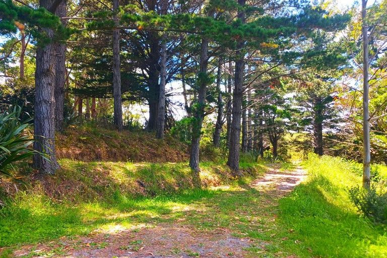 Photo of property in 184 Whangape Road, Herekino, Kaitaia, 0481