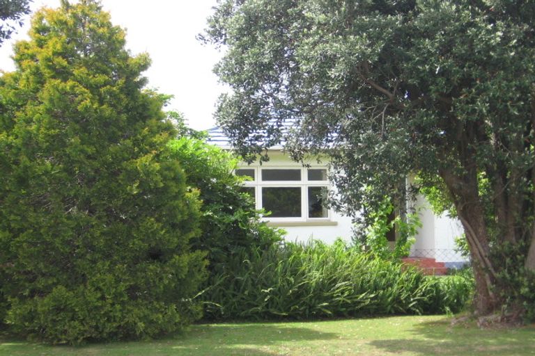 Photo of property in 87a Park Road, Katikati, 3129