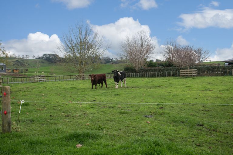 Photo of property in 508f Henry Watson Road, Richmond Downs, Walton, 3475