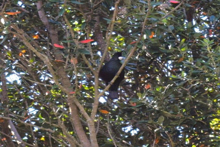 Photo of property in 44 Ruahine Street, Paraparaumu, 5032