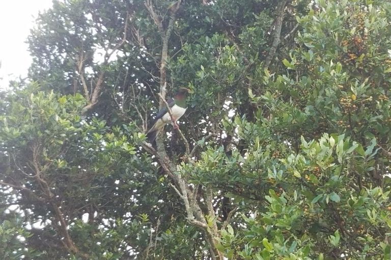 Photo of property in 1/224 Corcoran Road, Te Pahu, Hamilton, 3285