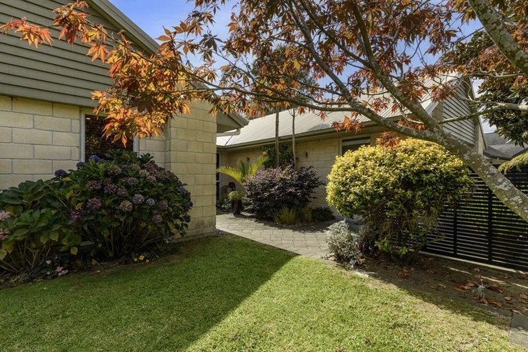 Photo of property in 60 Chater Avenue, Bethlehem, Tauranga, 3110