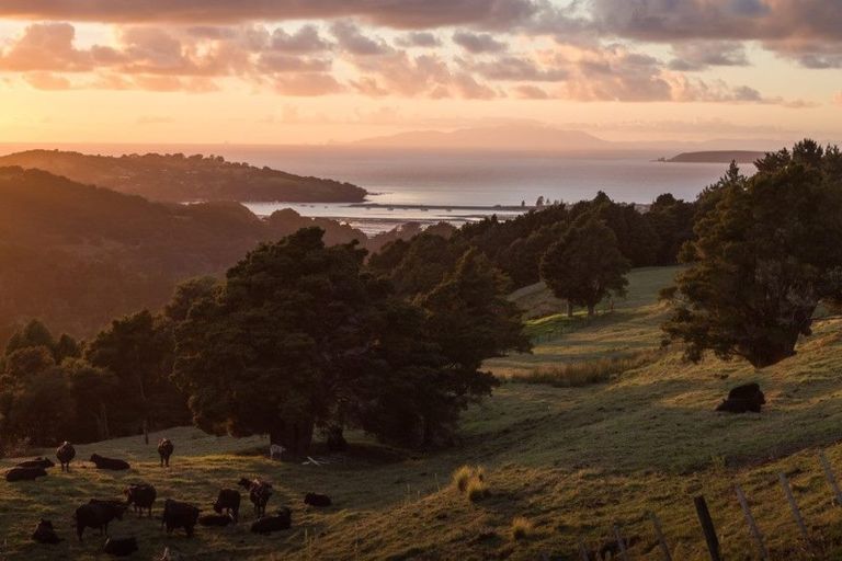 Photo of property in 128 Schollum Road, Big Omaha, Warkworth, 0985