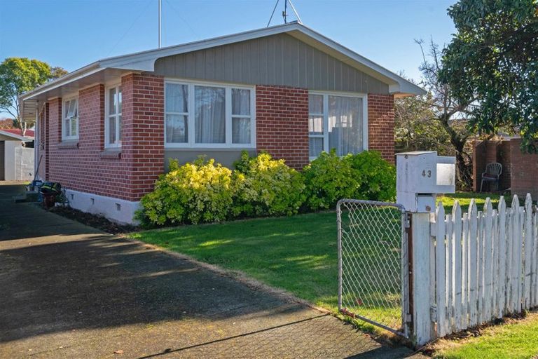 Photo of property in 43 Mowat Street, Springlands, Blenheim, 7201