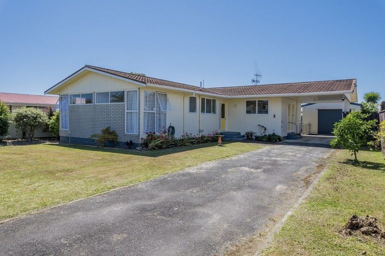 Photo of property in 58 Strathmore Avenue, Levin, 5510