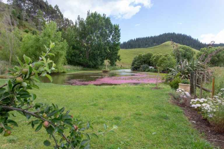Photo of property in 61 Waikupa Road, Okoia, Whanganui, 4582
