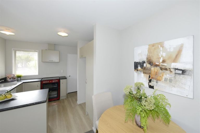 Photo of property in 17 Picton Avenue, Riccarton, Christchurch, 8011