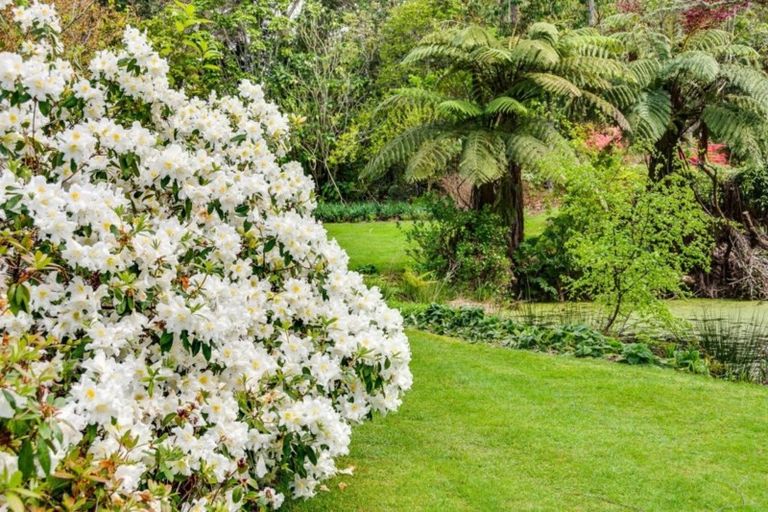 Photo of property in 582 Old Coach Road, Te Pohue, Napier, 4182