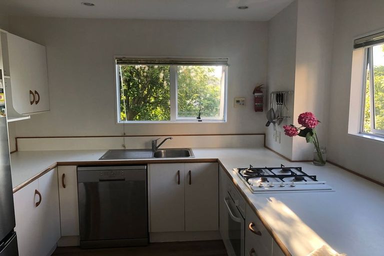 Photo of property in 145b Wallace Street, Mount Cook, Wellington, 6021