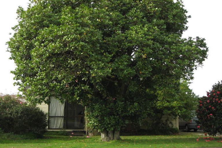 Photo of property in 709 Rodney Street, Saint Leonards, Hastings, 4120