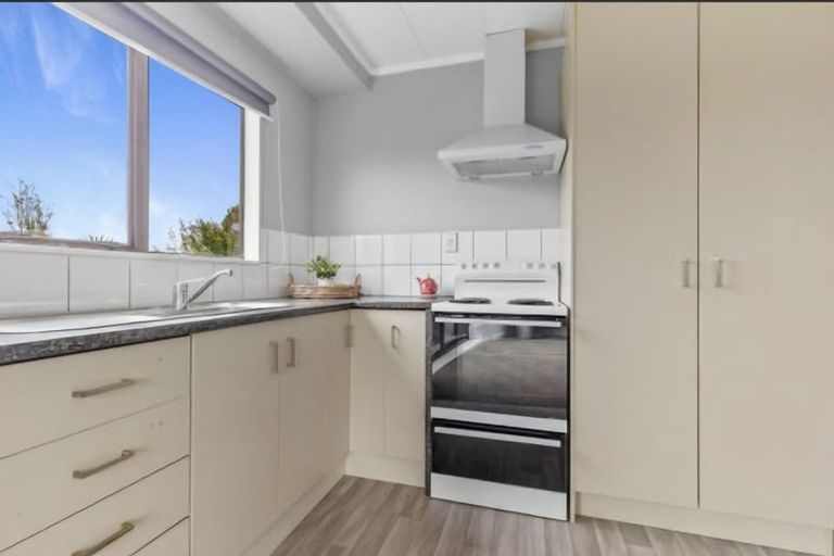 Photo of property in 96a Mako Mako Road, Levin, 5510