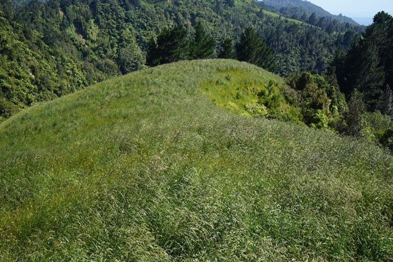 Photo of property in 13c Orokawa Heights Road, Waihi, 3681