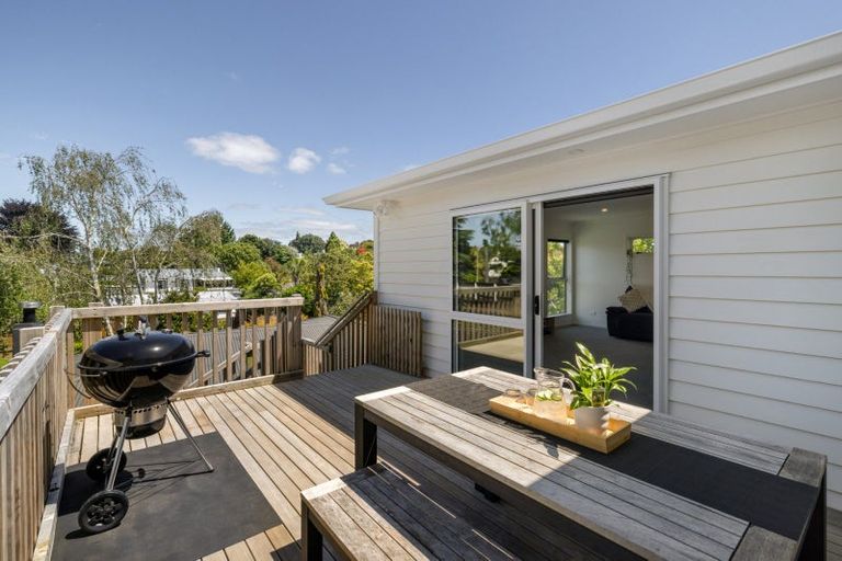 Photo of property in 14a Wellesley Grove, Gate Pa, Tauranga, 3112