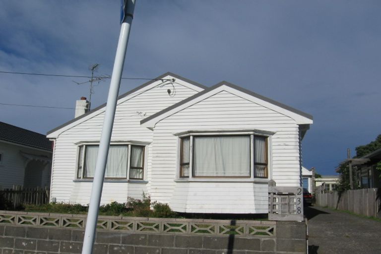 Photo of property in 238 Coutts Street, Rongotai, Wellington, 6022