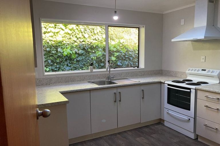 Photo of property in 46b Copeland Street, Hutt Central, Lower Hutt, 5011