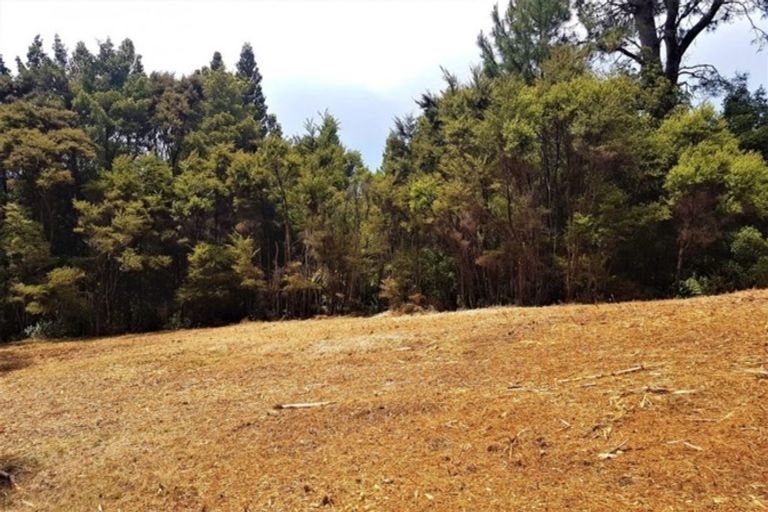 Photo of property in 243 Wright Road, Dairy Flat, Albany, 0794