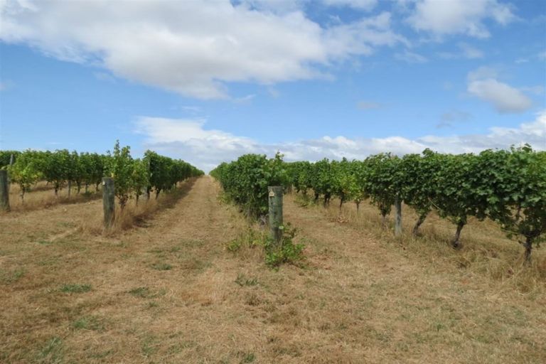 Photo of property in 66 Flett Road, Lower Moutere, Upper Moutere, 7175