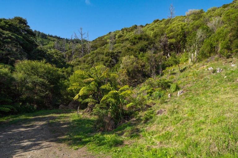 Photo of property in 24 Amelia Crescent, Waikawa, Picton, 7220