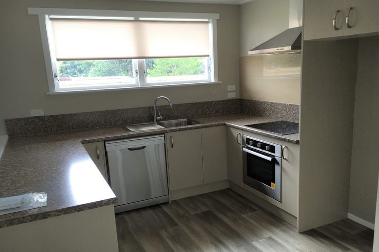 Photo of property in 279 Clarkin Road, Fairfield, Hamilton, 3214