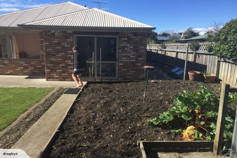 Photo of property in 77 Iwa Street, Mapua, 7005