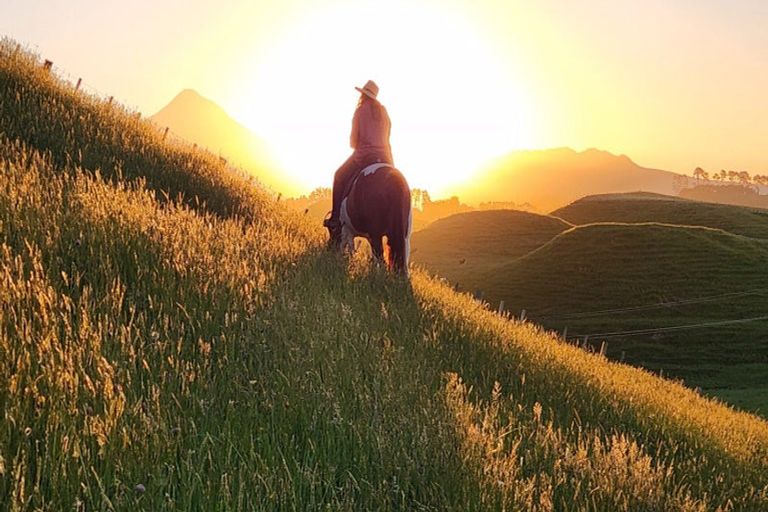 Photo of property in 964 Tarata Road, Kaimata, 4387