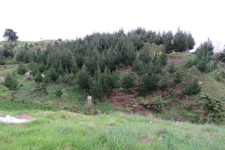 Photo of property in 289 Franklin Road, Paparoa, 0571