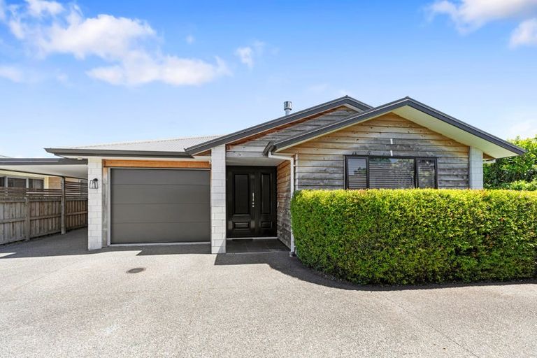 Photo of property in 50b Sixteenth Avenue, Tauranga South, Tauranga, 3112