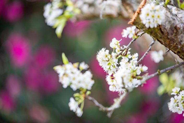 Photo of property in 2 Carrington Avenue, Hillcrest, Hamilton, 3216