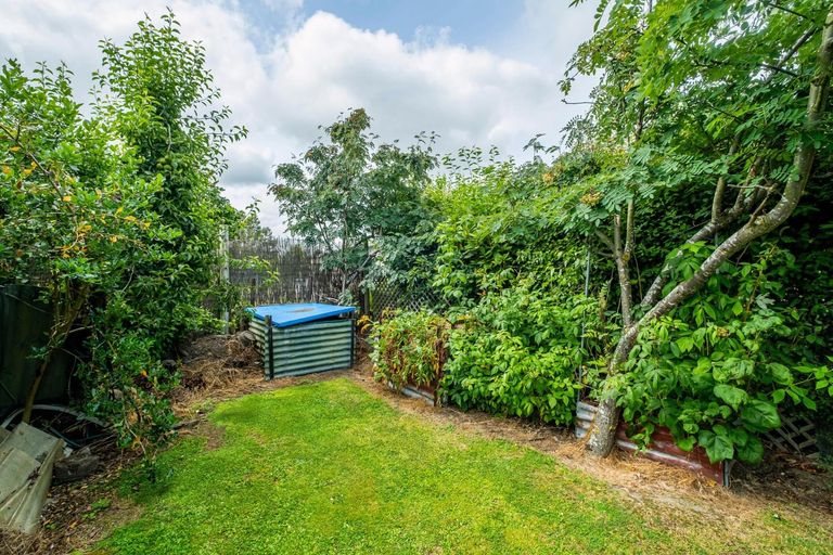 Photo of property in 10 Hillary Street, Waimate, 7924