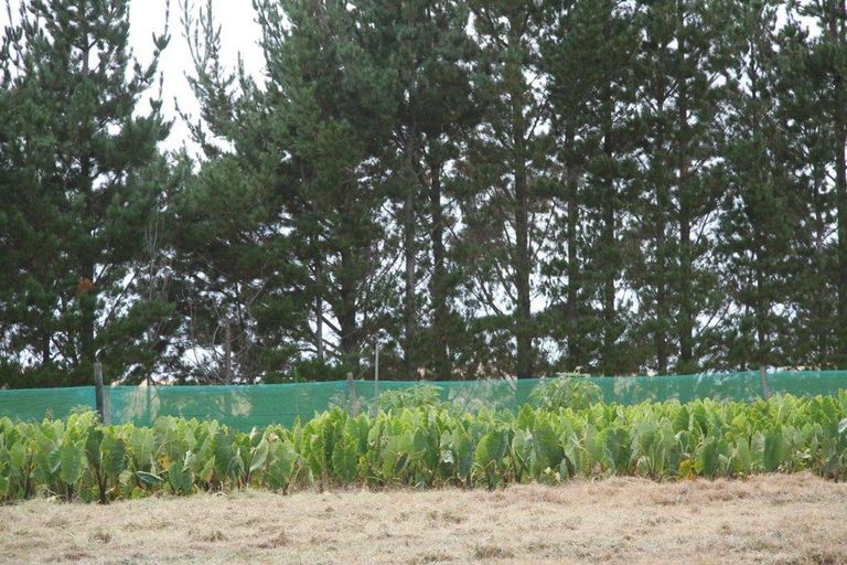 Photo of property in 41 Mcmanus Road, Houhora, Kaitaia, 0484