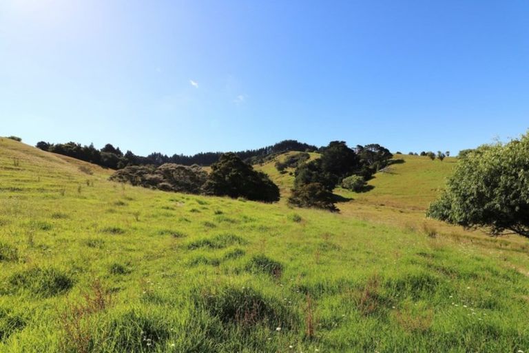 Photo of property in 110 Diggers Valley Road, Herekino, Kaitaia, 0481