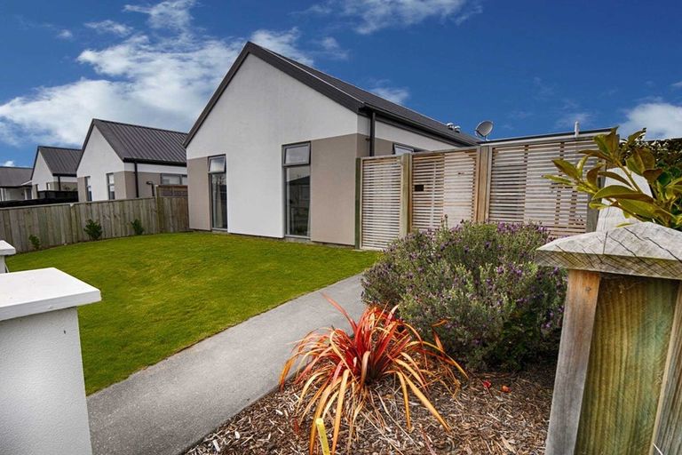 Photo of property in 87 Mary Ellen Street, Pegasus, 7612