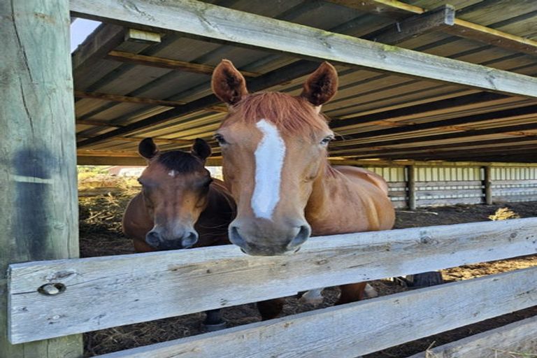 Photo of property in 281 Riverhead Road, Riverhead, 0892