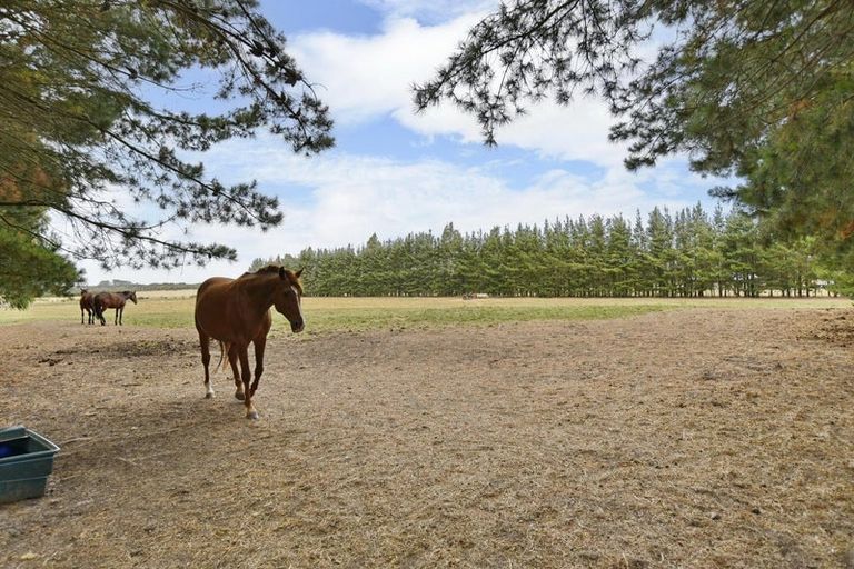 Photo of property in 279 Balcairn Amberley Road, Balcairn, Amberley, 7481