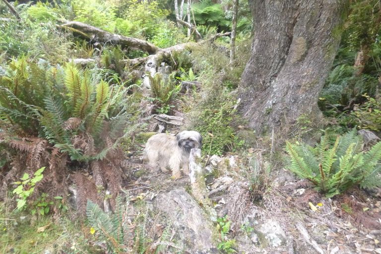 Photo of property in 26 Lookout Drive, Little Valley, Alexandra, 9320